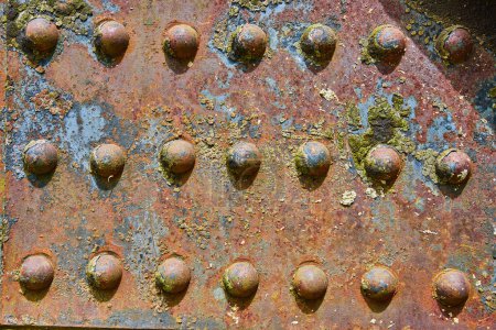 Photo for Image of Colorful background asset rusting metal rivets with flaking yellow bits and blue iron patches - Royalty Free Image