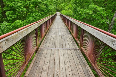 Photo for Image of View from treetop view on boardwalk bridge leading back to solid ground and lush green forest - Royalty Free Image
