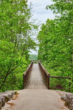 Photo for Image of Vertical view of treetop canopy bridge with rising sun pattern on railing and gate door - Royalty Free Image