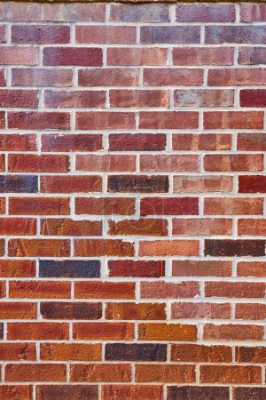 Photo for Image of Vertical background asset red brick wall with varying hues and white mortar - Royalty Free Image