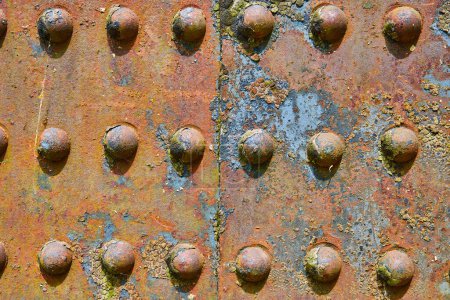 Photo for Image of Background asset colorful rivets on industry iron metal corroding with flaking yellow rusty decay - Royalty Free Image