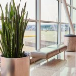 Image of Generic airport hallway with green plant and bench beside windows with bright light