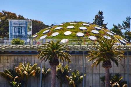 Image of Living roof exterior of the Academy of Sciences with window skylights on fake hill with grass