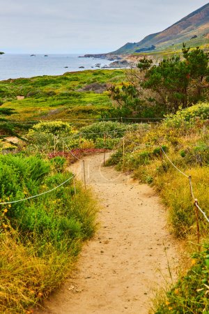 Photo for Image of Dirt trail with thin stick and thin thread along path leading down wildflower hillside to ocean - Royalty Free Image