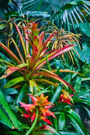 Foto de Imagen del activo de fondo de plantas brillantes y coloridas - Imagen libre de derechos