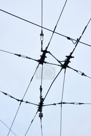 Photo for Image of Wires for city transportation clean electric energy upward abstract view with overcast sky - Royalty Free Image