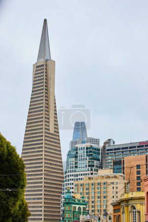 Photo for Image of Transamerica Pyramid on overcast day with tops of downtown buildings - Royalty Free Image