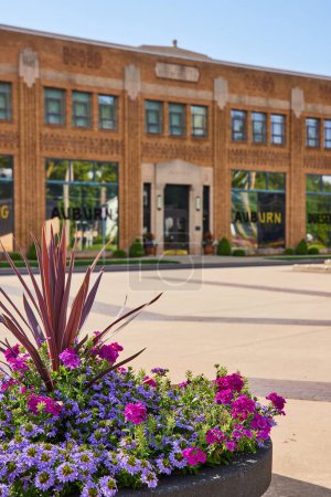 Photo for Image of Purple and pink flowers in pot outside Auburn ACD museum building - Royalty Free Image