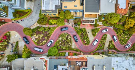 Téléchargez les photos : Image de Aerial droit vers le bas sur la rue Lombard avec des voitures et la route fonctionnant horizontalement - en image libre de droit
