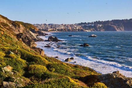 Photo for Image of Green plants and yellow flowers on cliff facing ocean with waves and distant city - Royalty Free Image