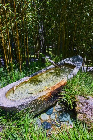 Foto de Imagen de la canoa de piedra Shishi odoshi con adoquines de colores en el jardín de té japonés rodeado de bambú - Imagen libre de derechos