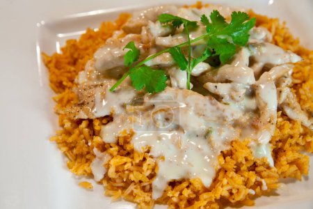 Photo for Deliciously Grilled Chicken Plate, Arroz con Pollo, with Vibrant Seasoned Rice and Creamy Queso Sauce, Accented with Fresh Cilantro Garnish - Auburn, Indiana - Royalty Free Image