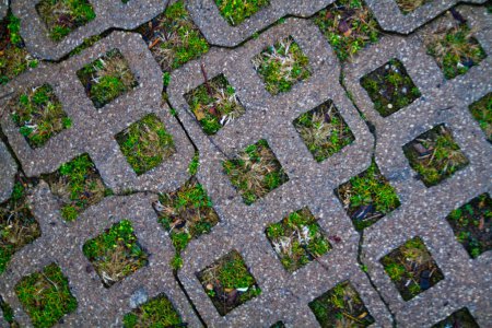 Téléchargez les photos : Explorez le mélange harmonieux du design artificiel et de la nature avec notre surface de pavage perméable écologique, mettant en valeur des pavés gris entrelacés ornés d'herbe verte vibrante à Ann Arbor, Michigan. - en image libre de droit