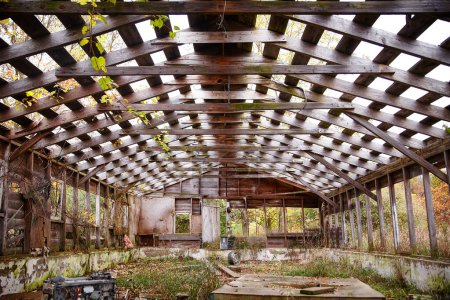 Téléchargez les photos : Nature récupère une structure en bois abandonnée à Bicentennial Acres, Fort Wayne, Indiana. Au milieu de la décomposition et de la croissance, les poutres squelettiques encadrent un ciel rempli de lumière du soleil, mettant en valeur le passage de - en image libre de droit