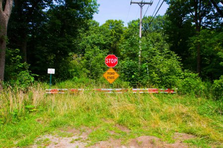 Photo for A vibrant scene showcases a red stop sign at the center, warning drivers of a roads termination amidst lush greenery and neglected surroundings. Power lines hint at civilization in the background - Royalty Free Image