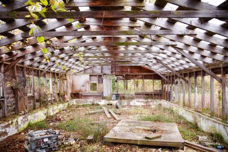 Photo for Nature reclaims an abandoned wooden structure in Bicentennial Acres, Fort Wayne. Vines creep through broken slats as sunlight illuminates the decaying interior, evoking themes of urban decay and the - Royalty Free Image