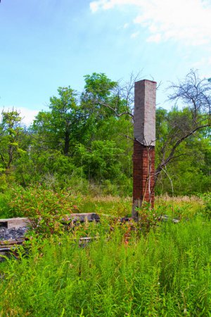 Téléchargez les photos : Natures Reclamation : Le site industriel oublié de Lansing, Michigan, présente une vieille cheminée en brique debout au milieu d'un champ envahi par la végétation. La végétation résiliente empiète sur les restes de l'homme - en image libre de droit