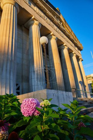 Téléchargez les photos : Lever de soleil dans une bibliothèque publique néoclassique de Muncie, Indiana, ornée de feuilles vertes et d'hortensias roses - en image libre de droit