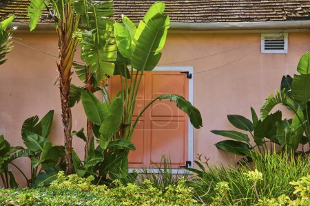 Téléchargez les photos : Jardin tropical tranquille avec une végétation luxuriante encadre une porte de saumon accueillante dans un mur de pêche, Paradise Island, Nassau, Bahamas - en image libre de droit