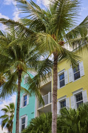Photo for Lush palm trees framing a vibrant, pastel-colored building under a sunny blue sky in Nassau, Bahamas, evoking a leisurely tropical lifestyle. - Royalty Free Image