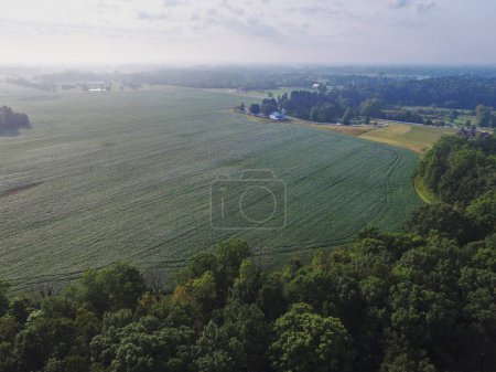 Foto de Vista aérea de la tranquila campiña de Indiana con extensos campos agrícolas, sinuosas carreteras y rústicos edificios agrícolas - Imagen libre de derechos