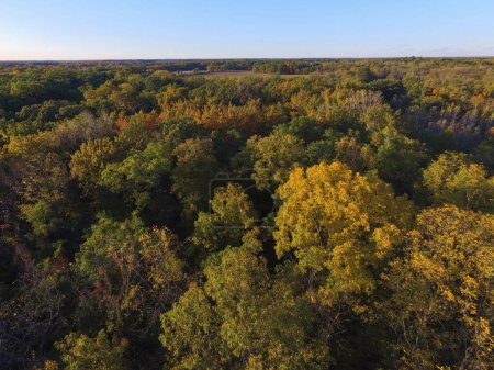 Sonnenbeschienener Herbsthimmel auf zweihundertjährigen Anbauflächen, 2015 - Luftaufnahme des gemäßigten Waldes in Fort Wayne, Indiana