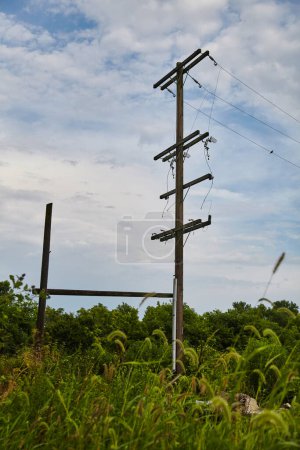 Photo for Abandoned telephone pole with overgrown vegetation in rural Ohio, symbolizing decay and natures reclaim near Columbus landmark. - Royalty Free Image