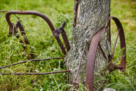 Foto de La naturaleza abraza una vieja herramienta agrícola en Auburn, Indiana, que simboliza la resiliencia en medio de la decadencia rural. - Imagen libre de derechos