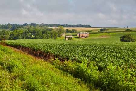 Foto de Paisaje rural soleado con exuberantes cultivos de soja, granja histórica y colinas onduladas en Lancaster, Ohio. - Imagen libre de derechos