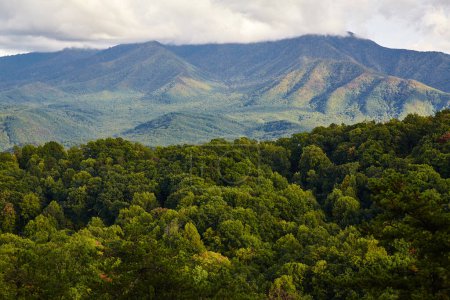 Foto de Vista serena de Smoky Mountains, Tennessee con exuberante vegetación en transición a los colores otoñales, 2015 - Imagen libre de derechos
