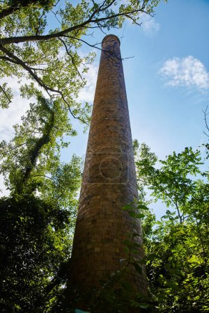 Téléchargez les photos : Imposantes tours de cheminée en brique au-dessus de la forêt vibrante de l'Ohio Une marque historique de l'industrialisation - en image libre de droit