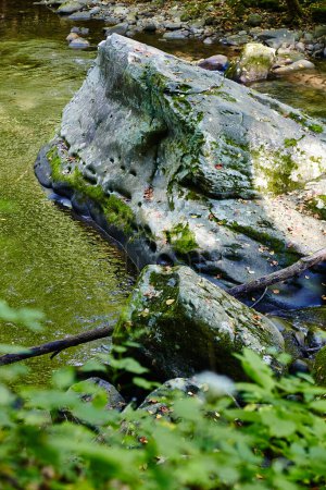 Photo for Mossy rock by serene stream in Smoky Mountains, Tennessee, a tranquil scene from a woodland hike on Little River Trail - Royalty Free Image
