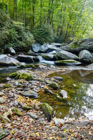 Téléchargez les photos : Ruisseau forestier serein dans Smoky Mountains, Tennessee avec une eau claire en cascade sur des roches couvertes de mousse au milieu d'une forêt luxuriante, encapsulant tranquillité et beauté naturelle. - en image libre de droit