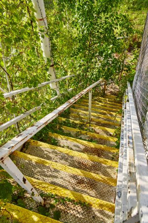 Escalera de metal rústico cubierto de follaje verde en el lugar de diversión abandonado, Angola, Indiana