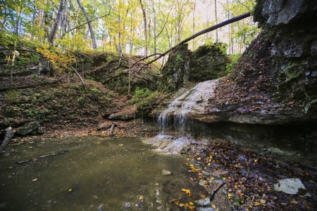 Téléchargez les photos : Scène d'automne de cascade tranquille dans la forêt d'État de la rivière Salamonie, Indiana - Une beauté naturelle capturée en 2016 - en image libre de droit