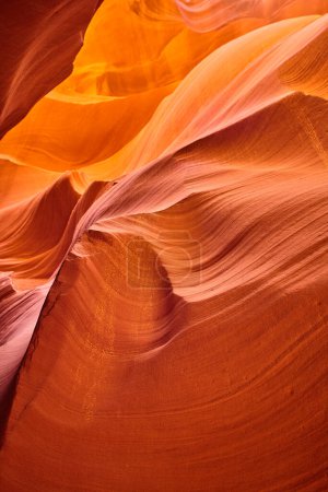 Photo for Vibrant slot canyon showcasing geological artistry in warm hues, captured in Antelope Canyon, Arizona, 2016 - Royalty Free Image