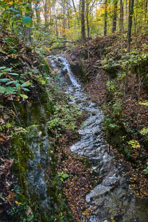 Téléchargez les photos : Sérénité automnale à Three River Falls, Salamonie River State Forest, Indiana - Tranquille Forest Stream Amid Natures Saisonnière Change, 2016 - en image libre de droit