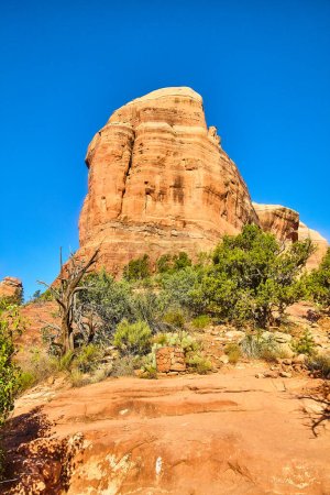 Photo for Sunlit Cathedral Rock in Sedona, Arizona, towering over a desert landscape under clear blue sky, 2016 - Royalty Free Image