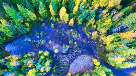 Aerial Drone View of a Vibrant Autumn Forest with Meandering Waterways in Michigan