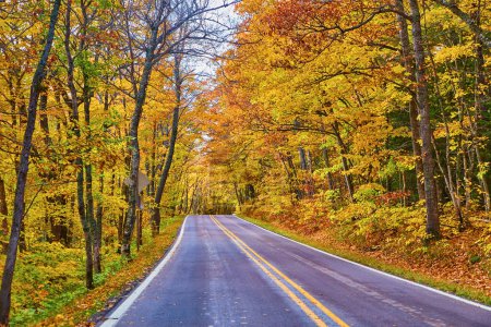 Feuillage d'automne vibrant sur route panoramique à Keweenaw, Michigan, 2017