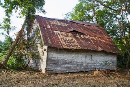 Vintage Indiana Barn: An Abandoned Storage Shed with a Rustic Charm, Surrounded by Lush Greenery, 2017