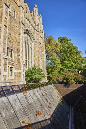 Gotische Architektur des University of Michigan Law Quadrangle eingerahmt von herbstlichem Efeu und grünem Laub, Ann Arbor
