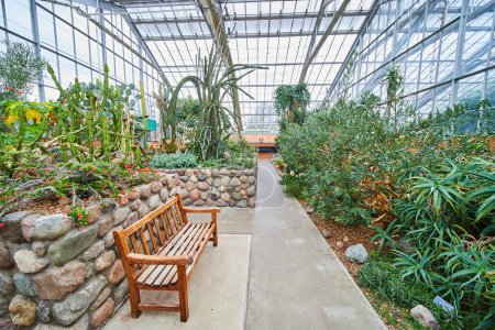 Tranquil scene in Matthaei Botanical Gardens greenhouse, Ann Arbor, featuring a variety of plants and a rustic bench on a pathway.