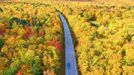 2017 Aerial View of Majestic Autumn Colors in Michigan Forest, Captured by Drone on Winding Road
