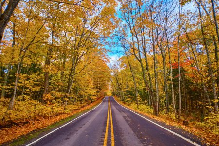 Auvent vibrant de feuilles d'automne une route pittoresque à Keweenaw, Michigan, invitant l'exploration et capturant la tranquillité d'une promenade de campagne.