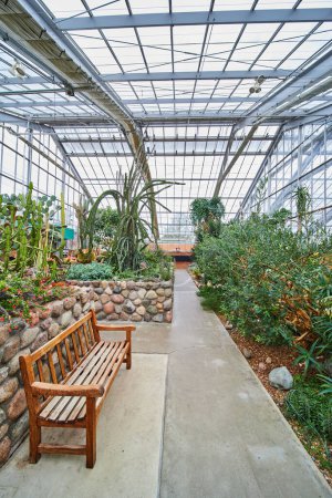 Photo for Tranquil Greenhouse Interior at Matthaei Botanical Gardens, Michigan, Showcasing a Variety of Cacti and Succulents - Royalty Free Image