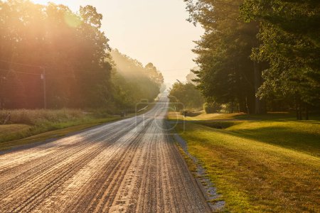 Gelassener Morgen auf einer üppigen Indiana Country Road zur Goldenen Stunde, 2017