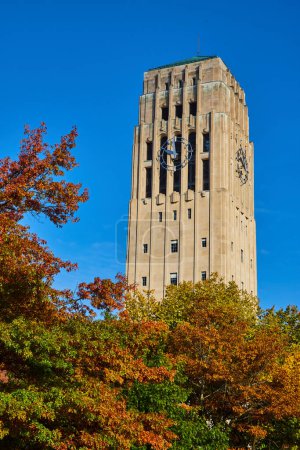 Historic Burton Memorial Clock Tower dominates an autumnal University of Michigan campus under a clear blue sky