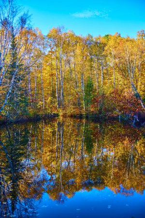 Photo for Vibrant Autumn Splendor in Michigans Hungarian Falls, 2017 - Serene Reflection of Deciduous Forest on Calm Lake - Royalty Free Image