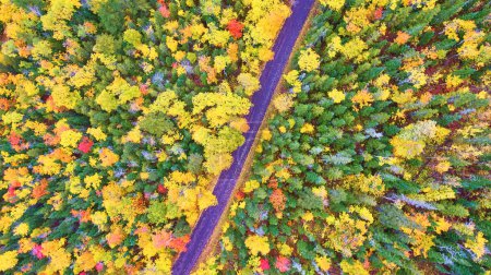 Foto de Vista aérea del bosque de otoño y la carretera sinuosa en Copper Harbor, Michigan capturado por DJI Phantom 4 drone en 2017 - Imagen libre de derechos